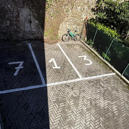 Red Oasis In Center Of